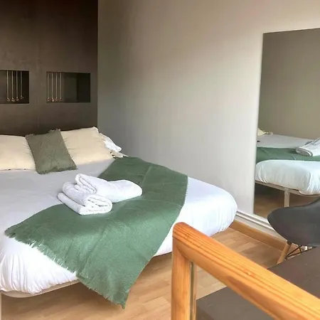 Green Studio Apartment